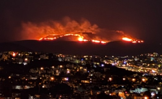 Bodrum’da maki ve ot yangını