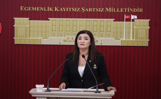 CHP'li Sevda Erdan Kılıç: Faize Para Var, Çocuklara Bir Öğün Yemek Yok!