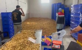 İncir işletmesinde 25 ton etiketsiz ürün ele geçirildi