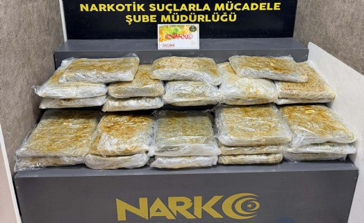 İzmir'de 29 kilo 800 gram skunk ele geçirildi