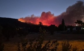 Muğla’da orman yangını büyüyor: 3 ev tahliye edildi, kara yolu kapatıldı