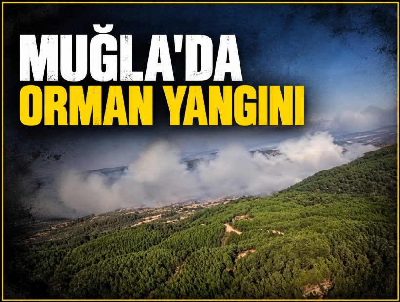 Muğla'da orman yangını