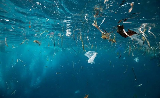 Plastik üretimdeki yükseliş ekosistemi tehdit ediyor!