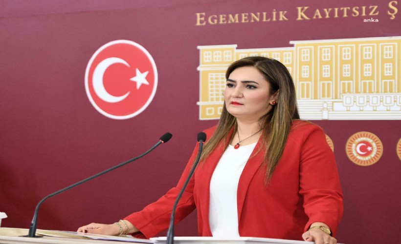 Sevda Erdan Kılıç; 'CHP kapatılsın' diyen Balbay'a sert çıktı: Hayallerini kursaklarında bırakacağız