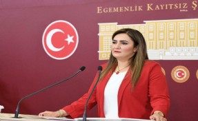 Sevda Erdan Kılıç; 'CHP kapatılsın' diyen Balbay'a sert çıktı: Hayallerini kursaklarında bırakacağız