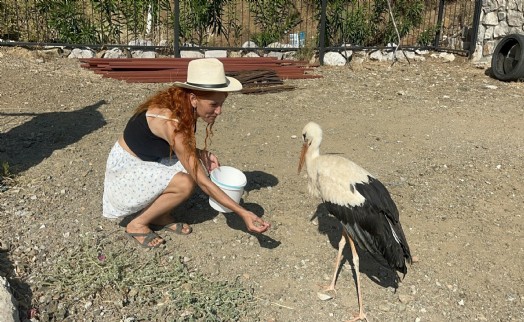 Sitenin bahçesine konan leyleğe sahip çıkıp, balık ve etle besliyorlar