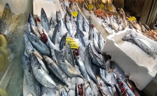 Sofralarda balık bereketi: Palamut, sardalya ve hamsi 100 lira