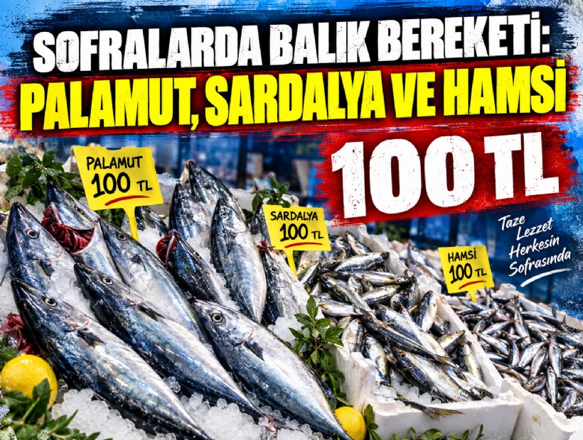 Sofralarda balık bereketi: Palamut, sardalya ve hamsi 100 lira
