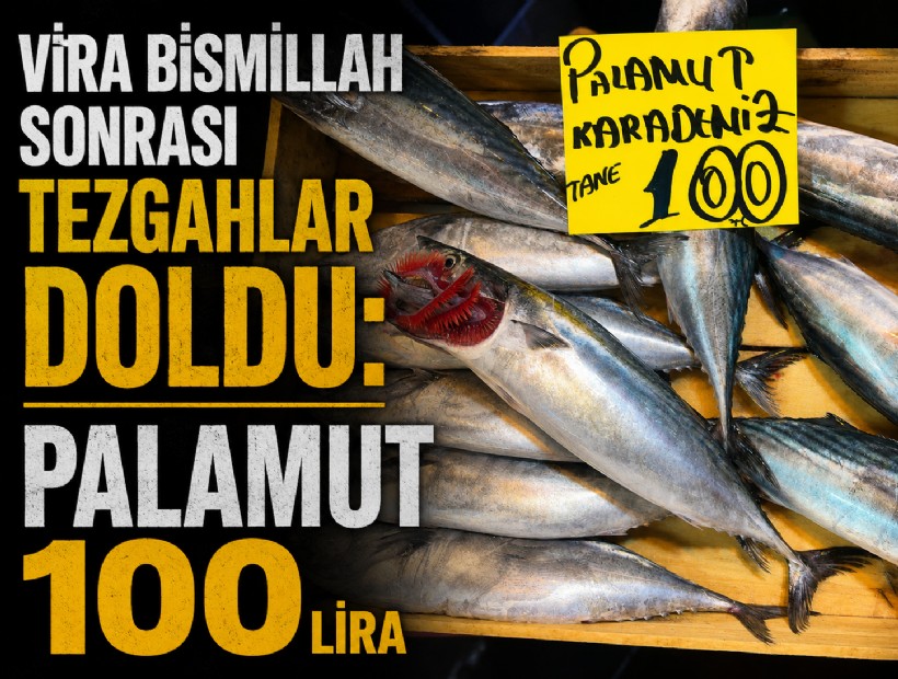 Vira Bismillah sonrası tezgahlar doldu: Palamut 100 lira