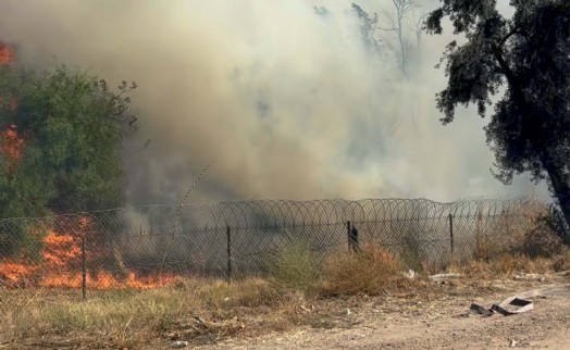 Aydın’da zeytinlikten otobana sıçrayan yangın kontrol altına alındı