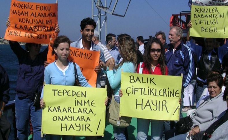 'Balık çiftlikleri Akdeniz foklarını tehdit ediyor' iddiası