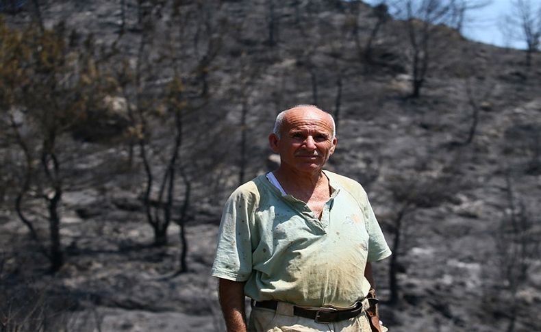 'Ben artık burada yeşilliği göremem'