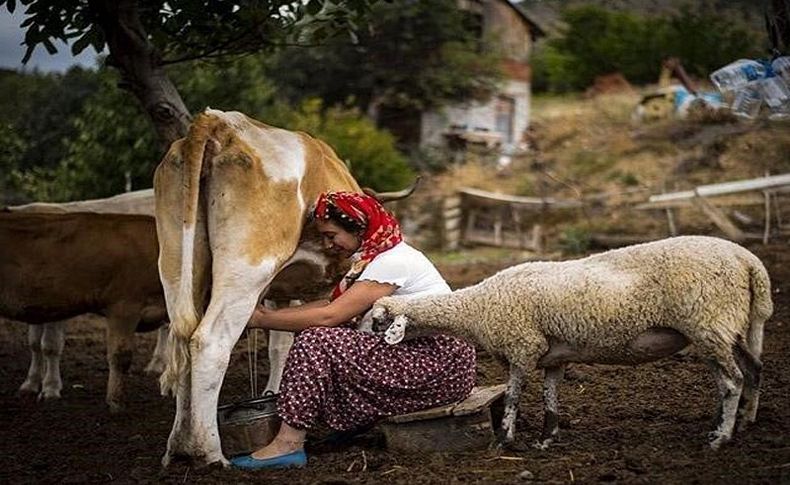 'Çiftlikten Instagram'a