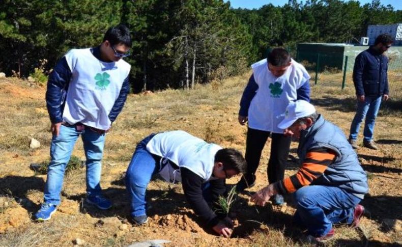 Down sendromlu gençler Spil'de fidan dikti