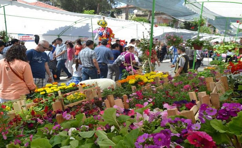 Mis kokulu festivale sayılı günler kaldı