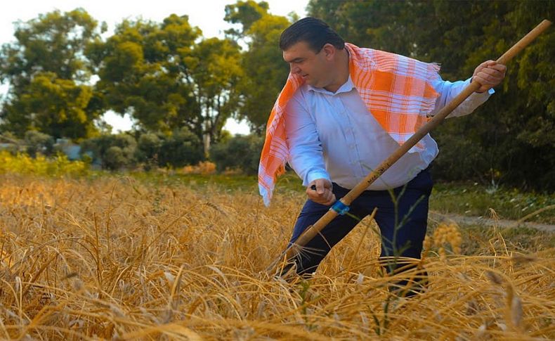 'Sakin Şehir'de Karakılçık hasadı başladı