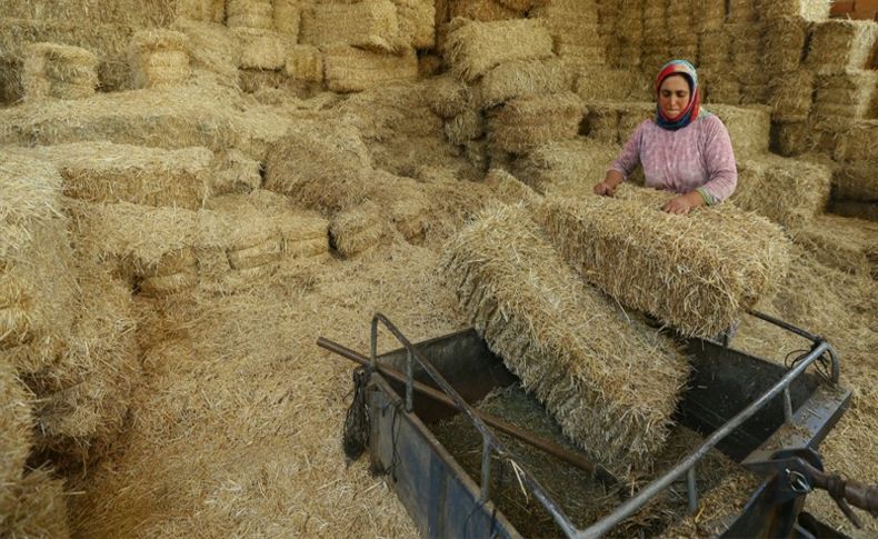 'Saman ithalatı kanıma dokundu'