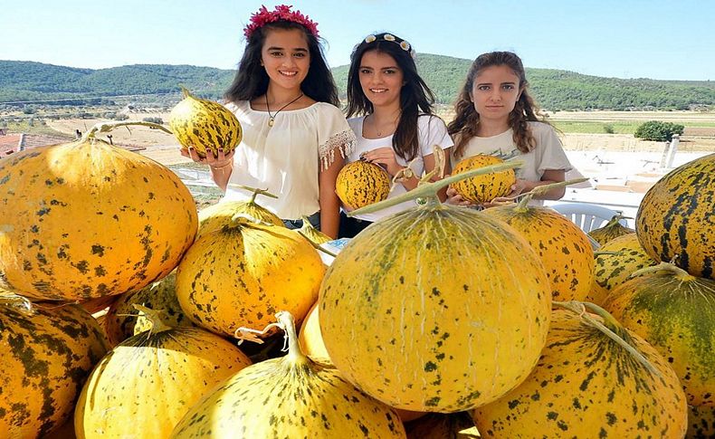 'Sarı' festival başlıyor