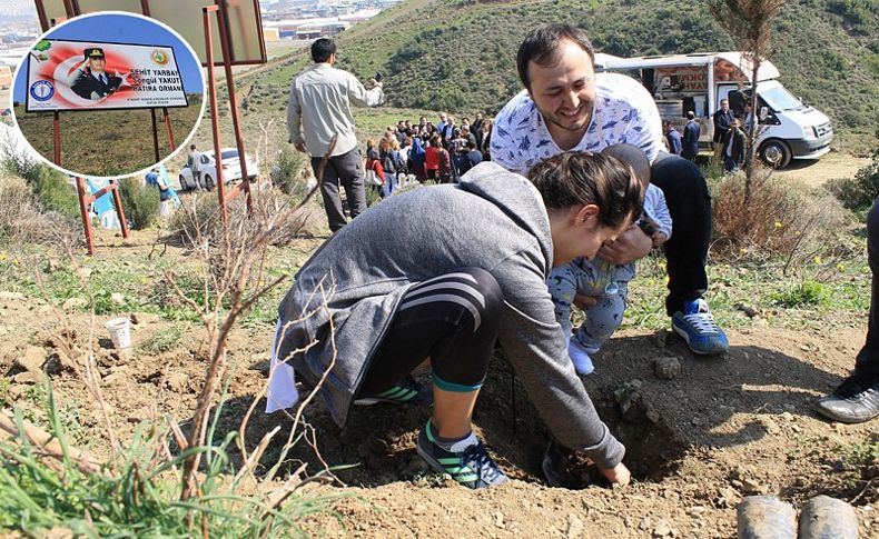 Şehit Yarbay Songül Yakut Hatıra Ormanı