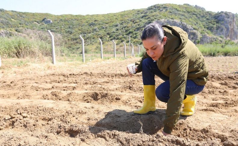 'Selçuk'un Efsanesi' toprakla buluştu