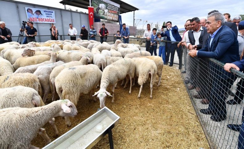 'Umut' sürüsü büyüyor