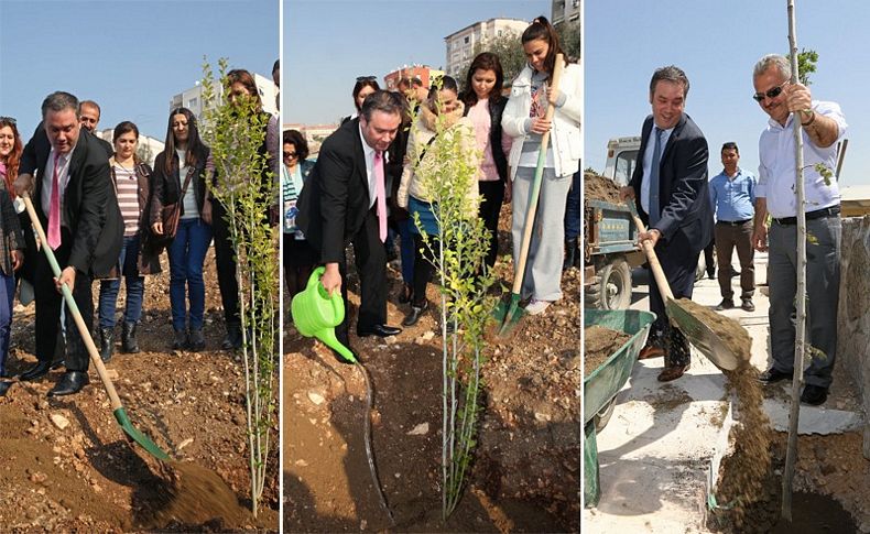 16 bin ağaç Buca'da yükseliyor