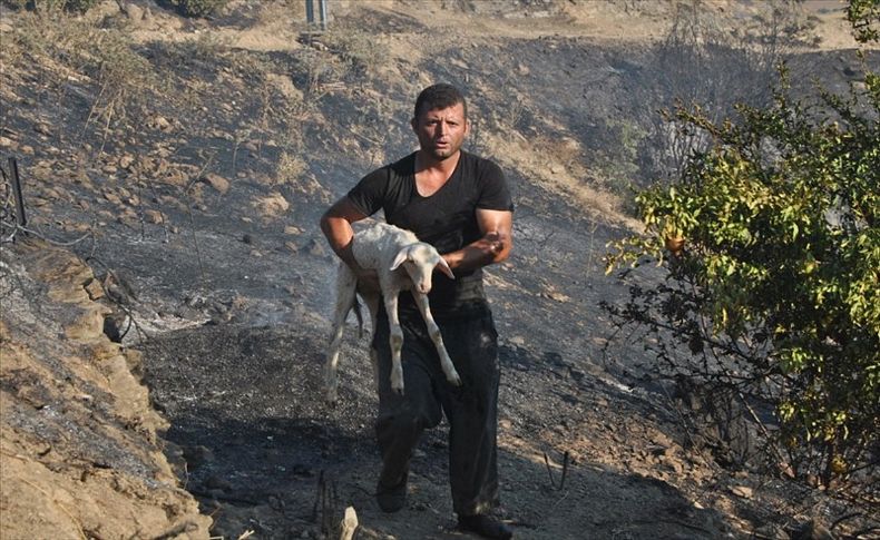 200 dönüm makilik yandı