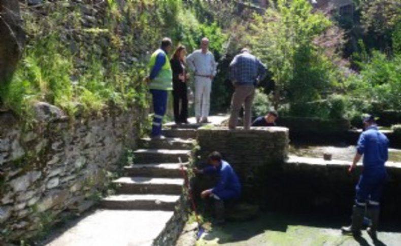 Tire’nin derelerinde bahar temizliği