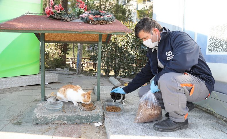 Gaziemir’de can dostlar emin ellerde