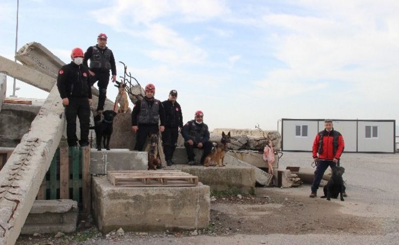 İzmir'in cesur köpekleri