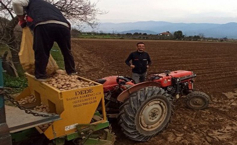 Ödemişli patates üreticisi fiyatlardan dertli