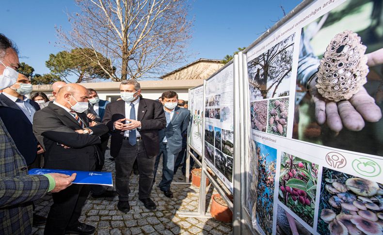 Soyer: Kozak Yaylası agro turizmle kalkınacak