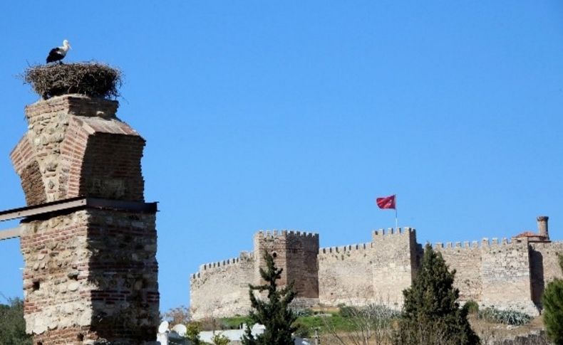 Baharın müjdecisi leylekler Selçuk semalarında