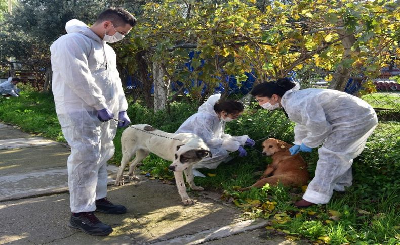 Bornova Belediyesi can dostları unutmuyor