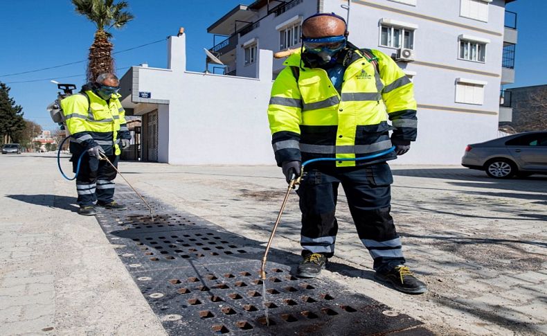 Büyükşehir larva mücadelesine devam ediyor