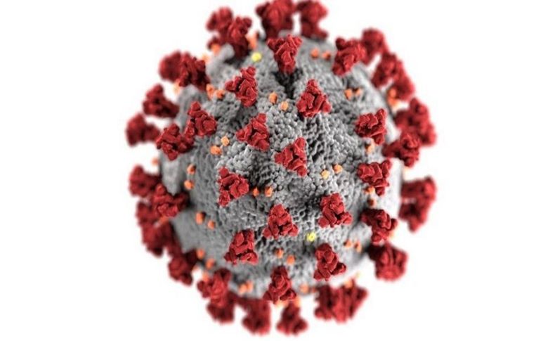 'Çifte mutasyona' uğramış koronavirüs tespit edildi