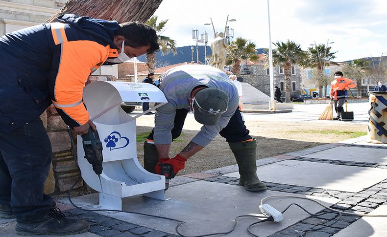 Foça'da can dostlar için yuva ve mama kapları