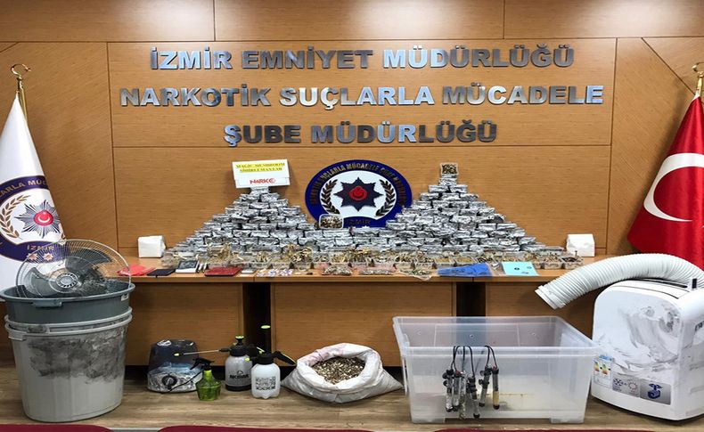 İzmir'de uyuşturucu etkisi bulunan 195 mantar ele geçirildi