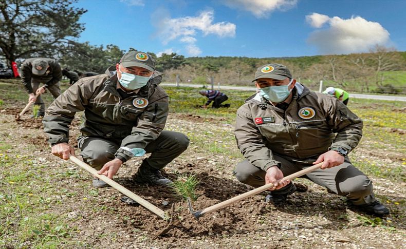 İzmir'de 500 fidan toprakla buluşturuldu