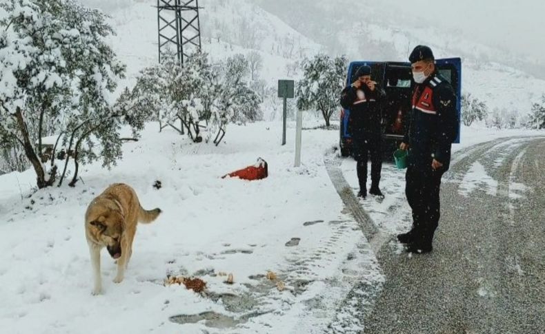 Kar nedeniyle yol kapanınca hayvanların imdadına jandarma yetişti