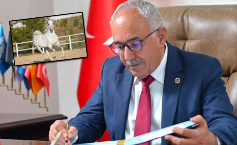 100 kayıp at! Dörtyol Belediye Başkanı MHP'den istifa etti