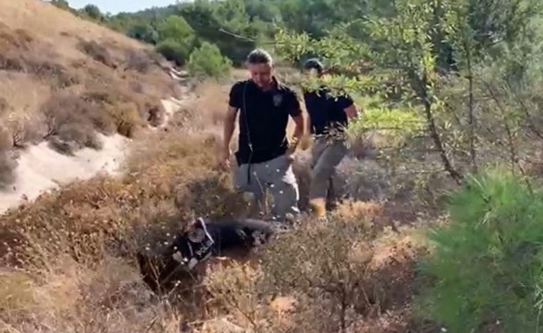 15 yıl sonra ortaya çıkan korkunç cinayete zorla katılmış