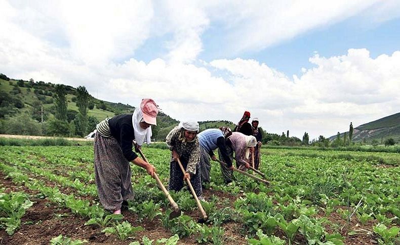 CHP'li Gürer: “İthalat artıkça çiftçi sayısı azalıyor”
