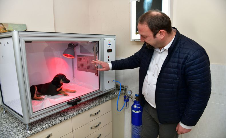 Çiğli Belediyesi’nden hayvan dostu proje: Yoğun bakım ünitesi