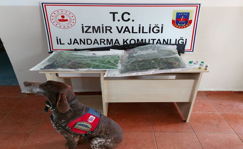 İzmir'de 1,5 kilogram esrar ele geçirildi