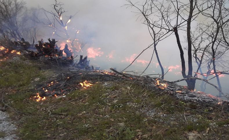 İzmir'de orman yangını: 500 kestane ve meşe ağacı yandı