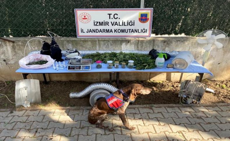 İzmir'de jandarmadan uyuşturucu operasyonu: 3 tutuklama