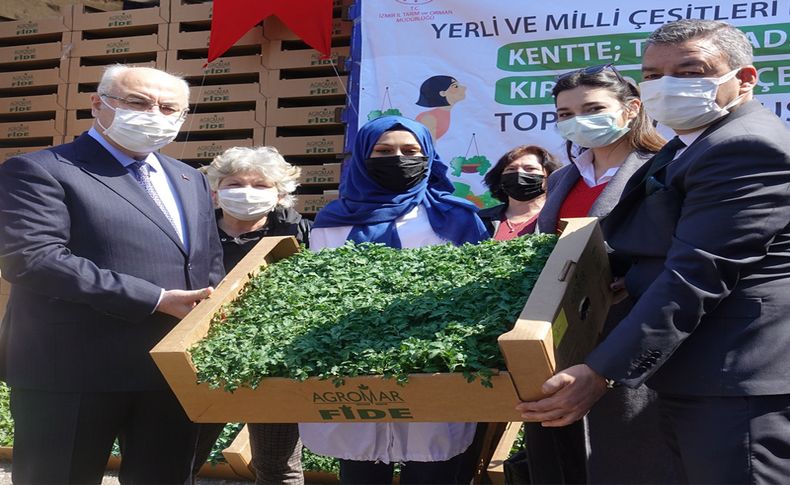 İzmir'de yerli tohumlardan elde edilen sebze fideleri 15 bin kadına dağıtılıyor
