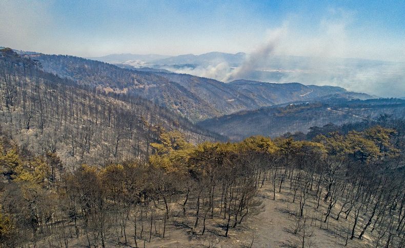 Orman İzmir Kampanyasında 121 bin 599 adet fidan dikildi