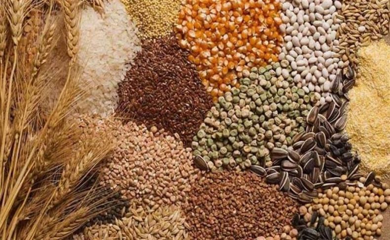 Türkiye'nin ABD'ye hububat bakliyat yağlı tohumlar ihracatı hedefi 1 milyar dolar